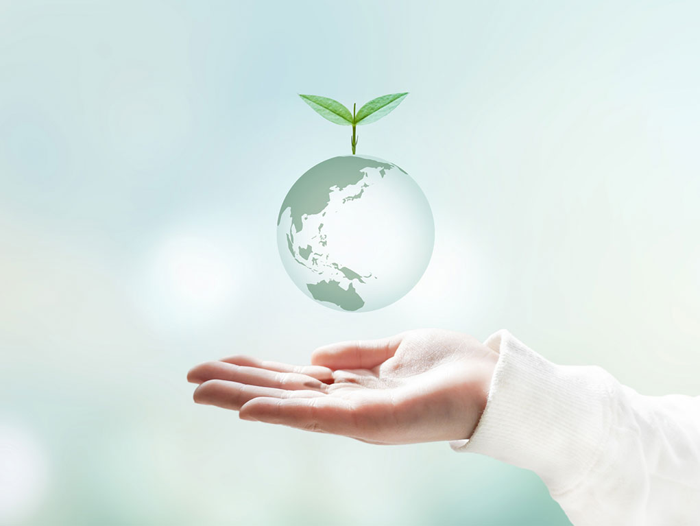 省エネ推進の取り組み